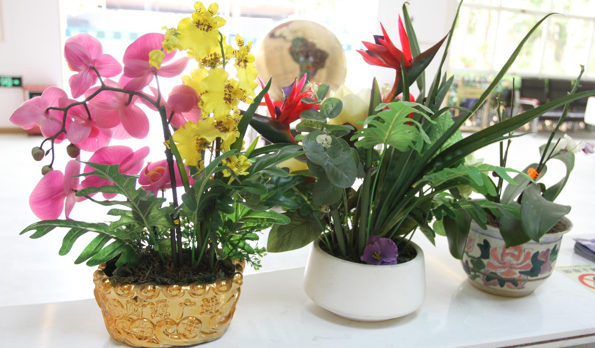 1630483852778119.jpg IMG_1242.JPG