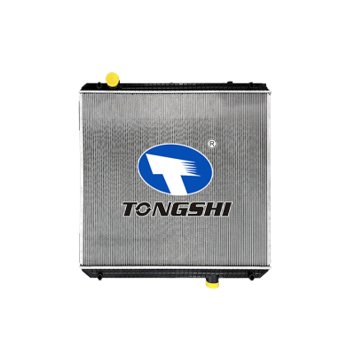 适用于?FREIGHTLINER?AT???散热器