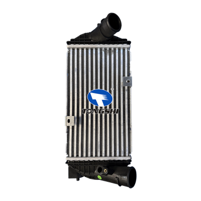 适用于???10代索纳塔?2.0T?20-????中冷器