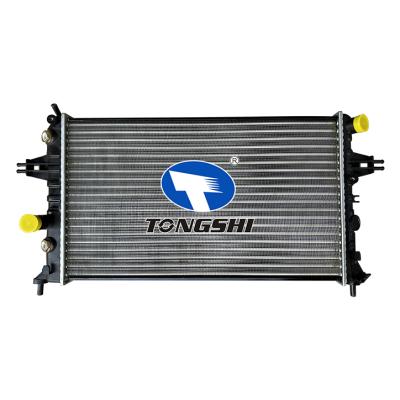 适用于?欧宝雅特 G AT 散热器