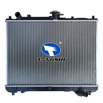 适用于FAMILIA\323 BG3P MT散热器