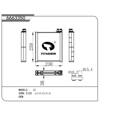 适用于 H2 蒸发器