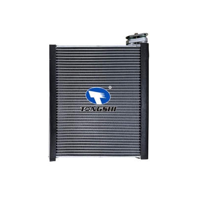 适用于    丰田普拉多(GRJ120)/FJ/ 4RUNNER/GX470 04-09    蒸发器